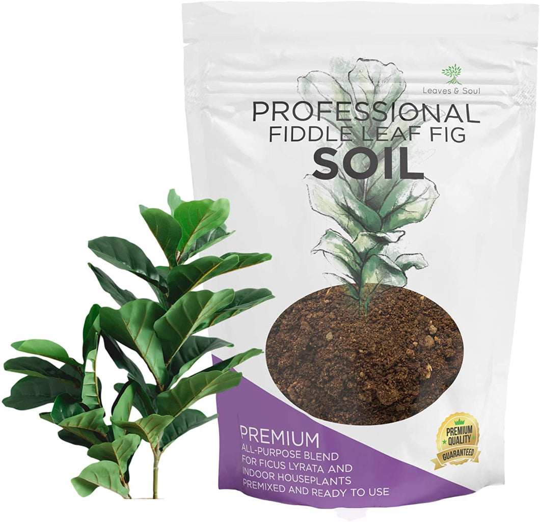 Premium Fiddle Leaf Fig and House Plant Soil All Purpose Blend | Pre-mixed 2.2 and 8.2 Dry Quarts
