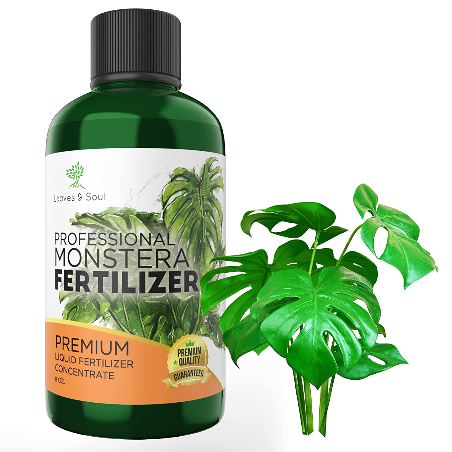 Professional Monstera Plant Fertilizer