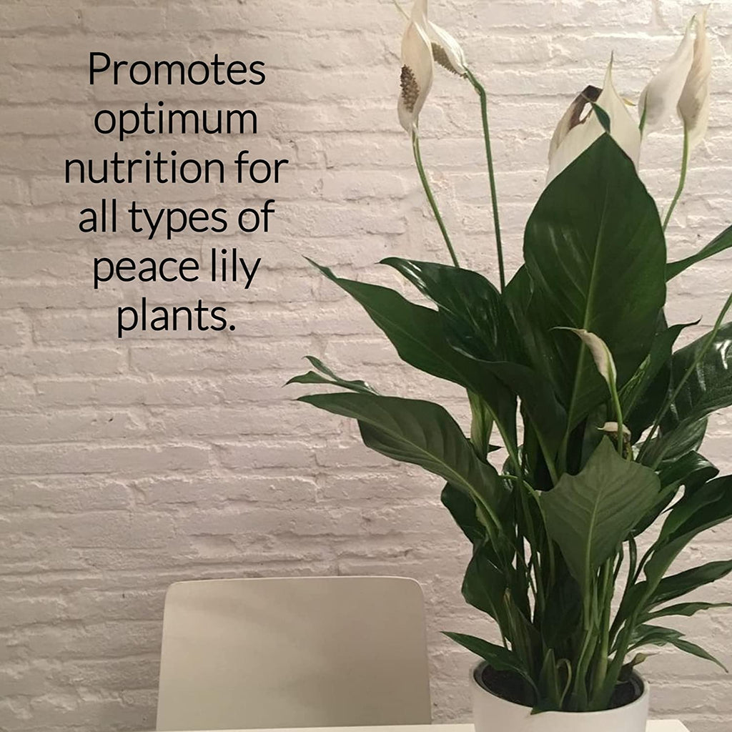 Professional Liquid Peace Lily Plant Fertilizer