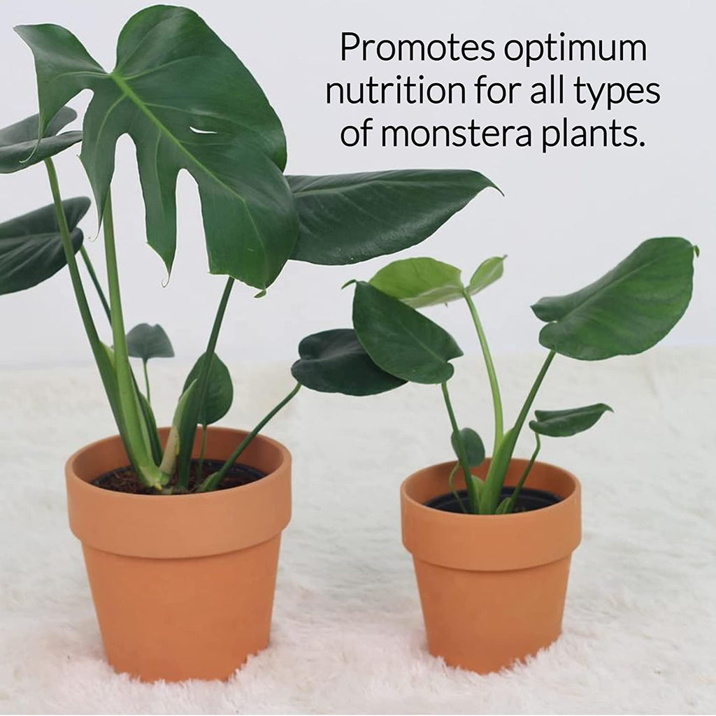 Professional Monstera Plant Fertilizer