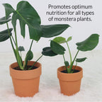 Professional Monstera Plant Fertilizer