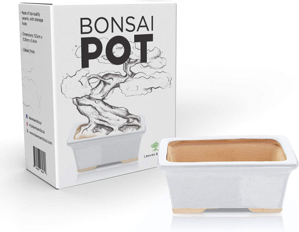 Glazed Ceramic Bonsai Pot | White Rectangular
