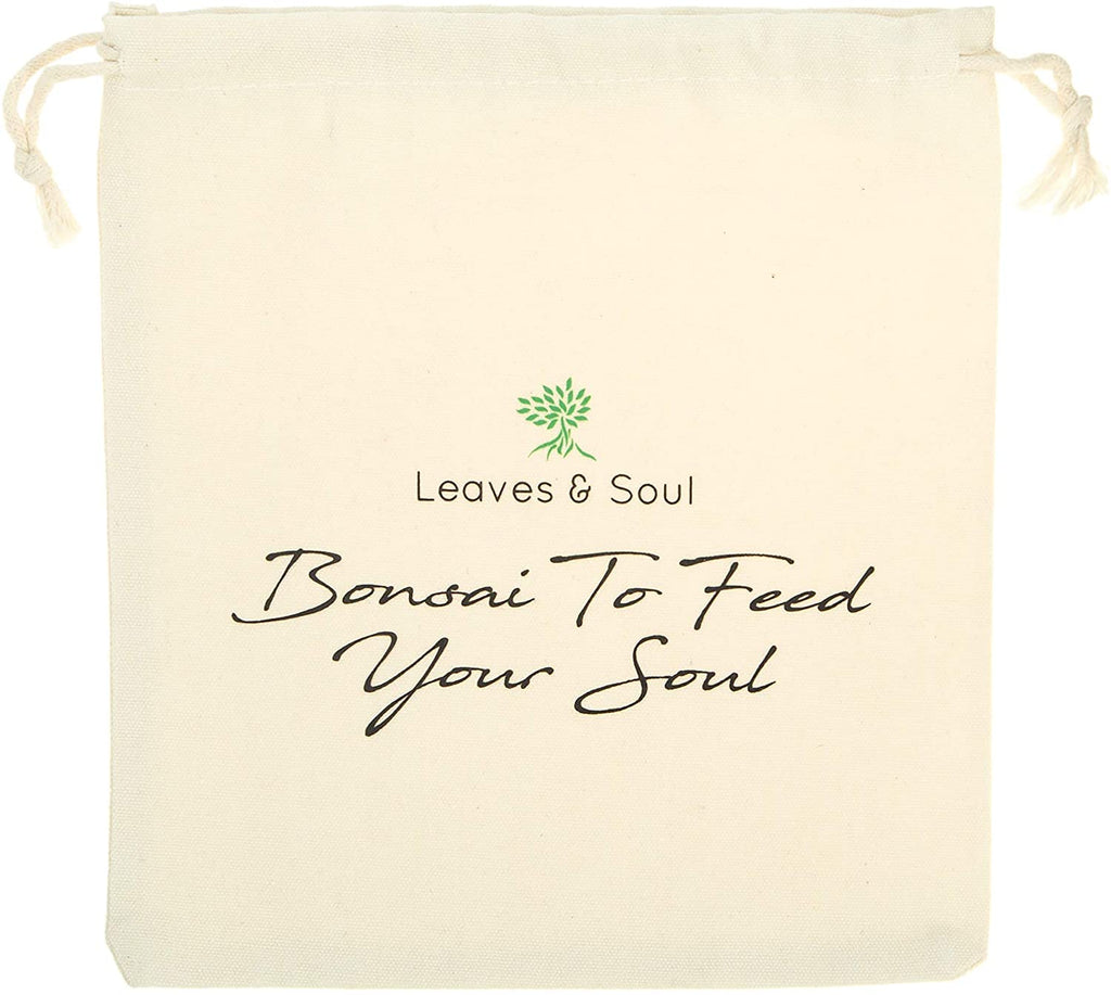 Leaves and Soul Tree Training Wire Kit