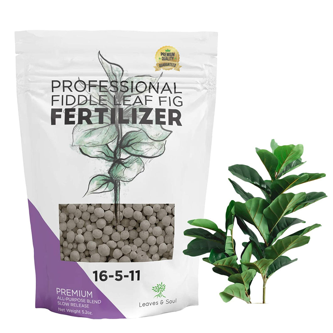 Fiddle Leaf Fig and House Plant Fertilizer Pellets | 16-5-11 Slow Release