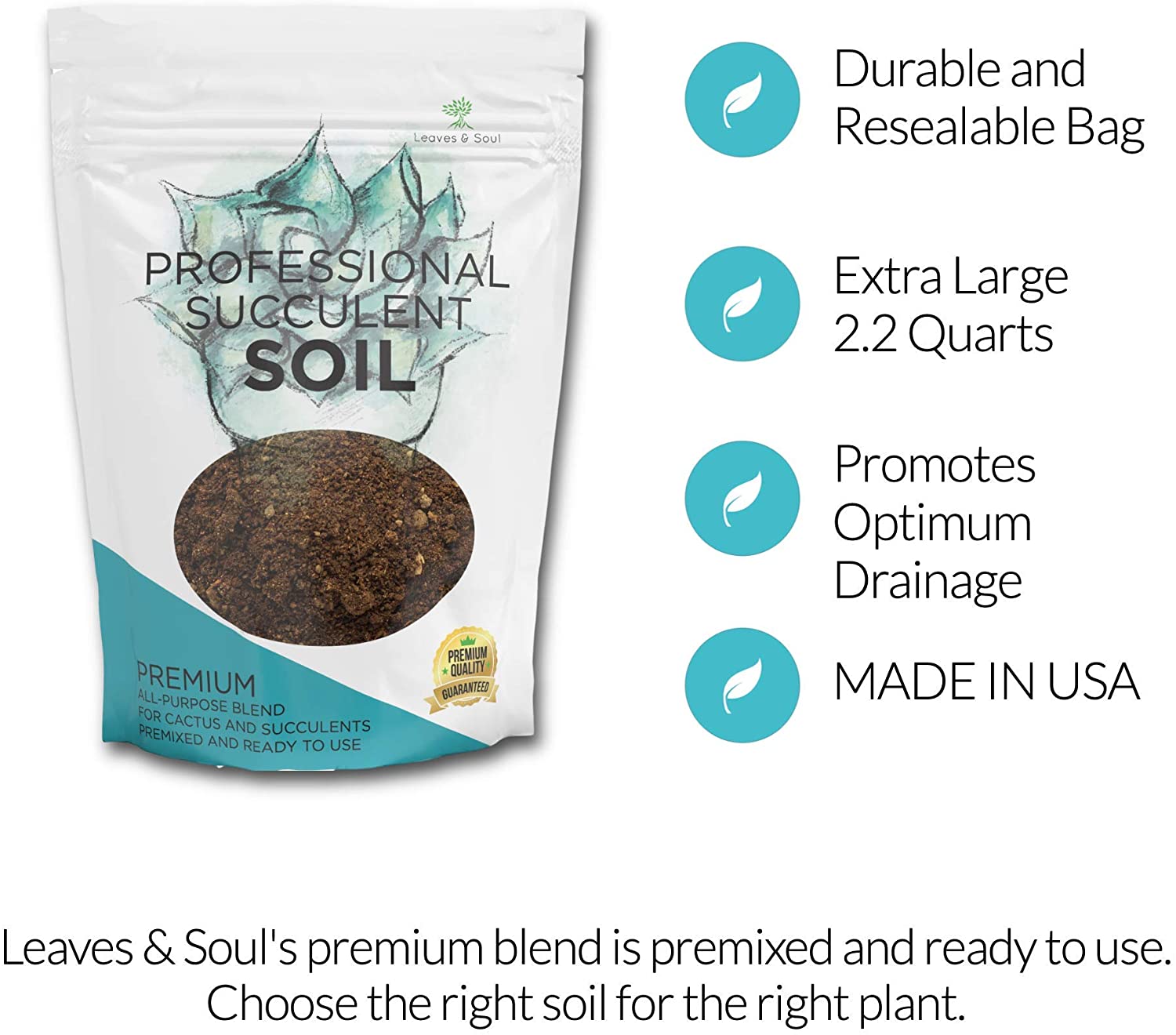 Premium Succulent Soil All Purpose Blend | Pre-mixed 2.2 and 8.2 Dry Quarts