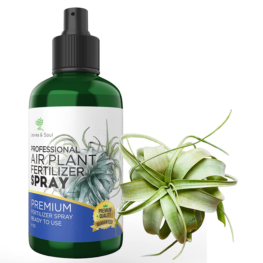 Professional Air Plant Pump Spray Fertilizer Mist 4 oz