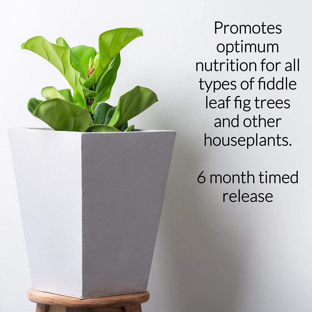 Fiddle Leaf Fig and House Plant Fertilizer Pellets | 16-5-11 Slow Release