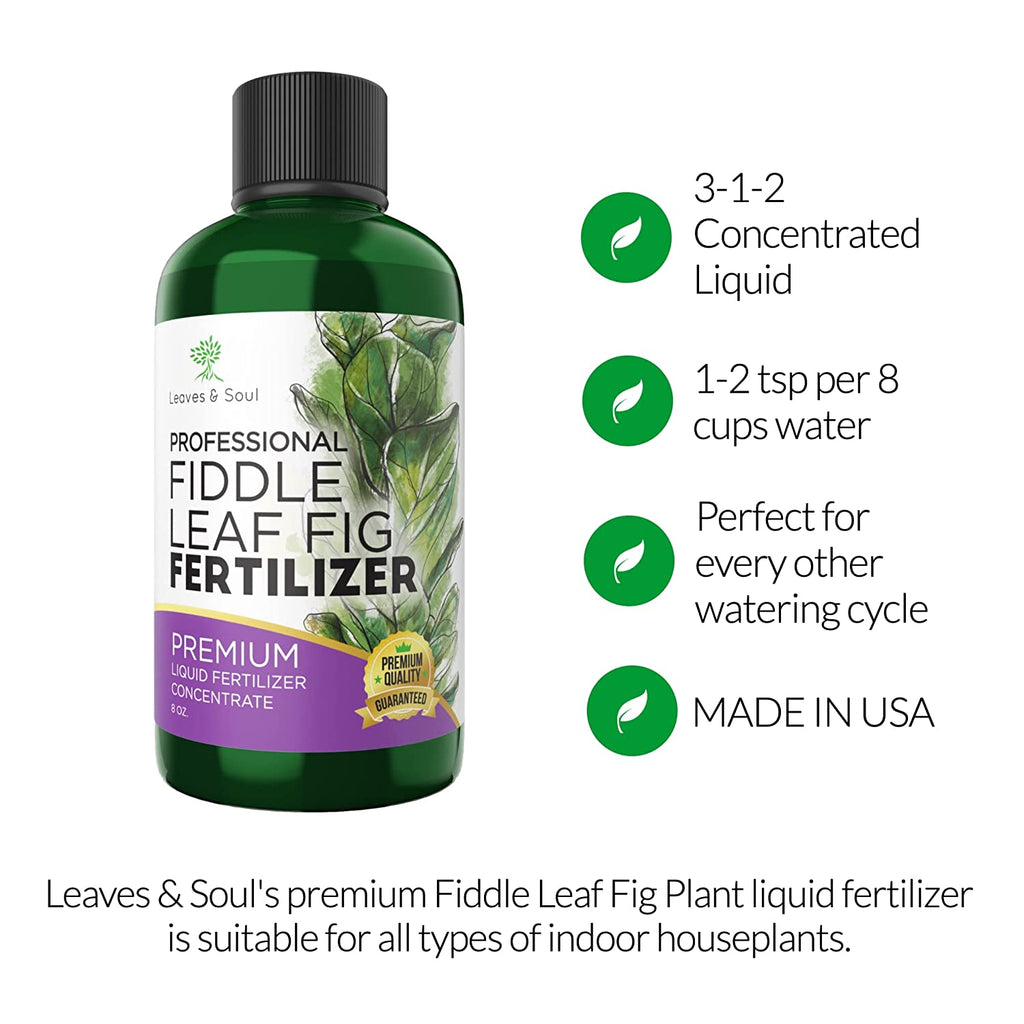 Professional Liquid Fiddle Leaf Fig Plant Fertilizer