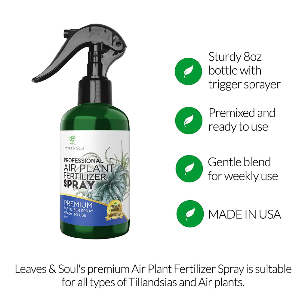 Professional Air Plant Fertilizer Spray