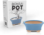 Glazed Ceramic Bonsai Pot | Light Blue