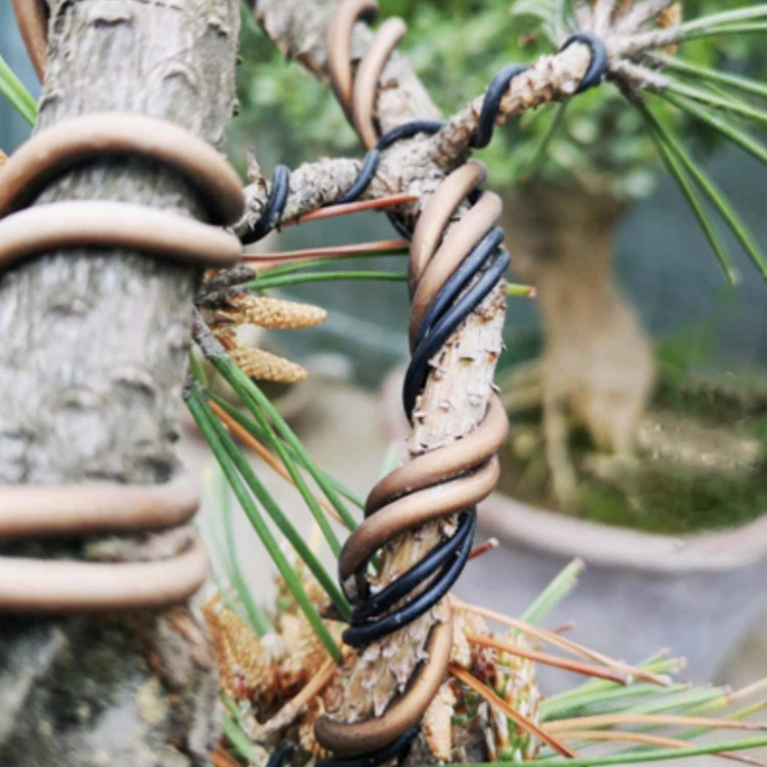 bonsai tree training wire Leaves and Soul Tree Training Wire Kit