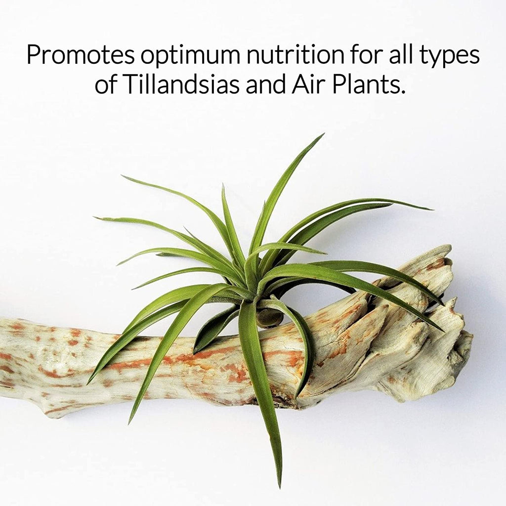 Professional Air Plant Fertilizer Spray