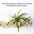 Professional Air Plant Fertilizer Spray