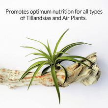Load image into Gallery viewer, Professional Air Plant Fertilizer Spray
