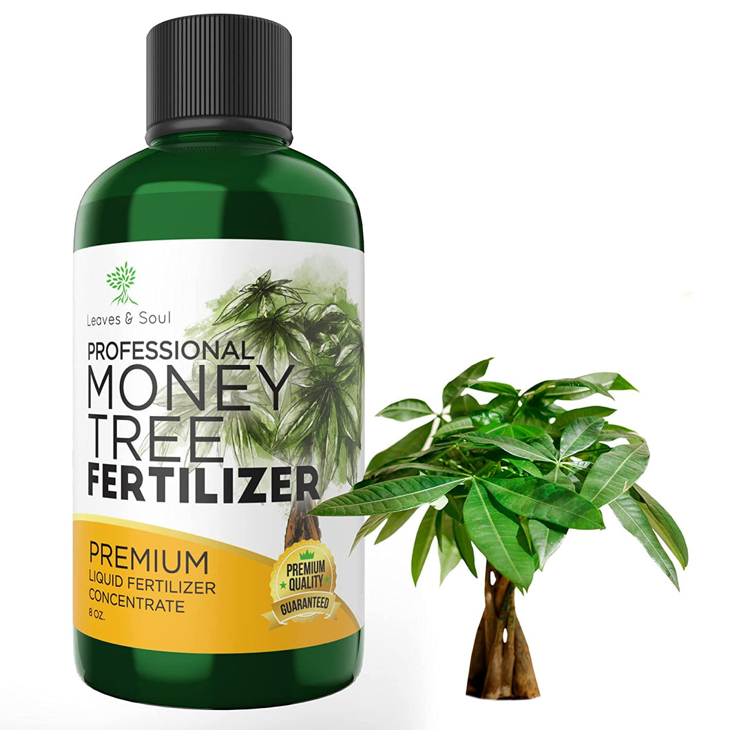 Professional Liquid Money Tree Fertilizer