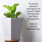 Premium Fiddle Leaf Fig and House Plant Soil All Purpose Blend | Pre-mixed 2.2 and 8.2 Dry Quarts