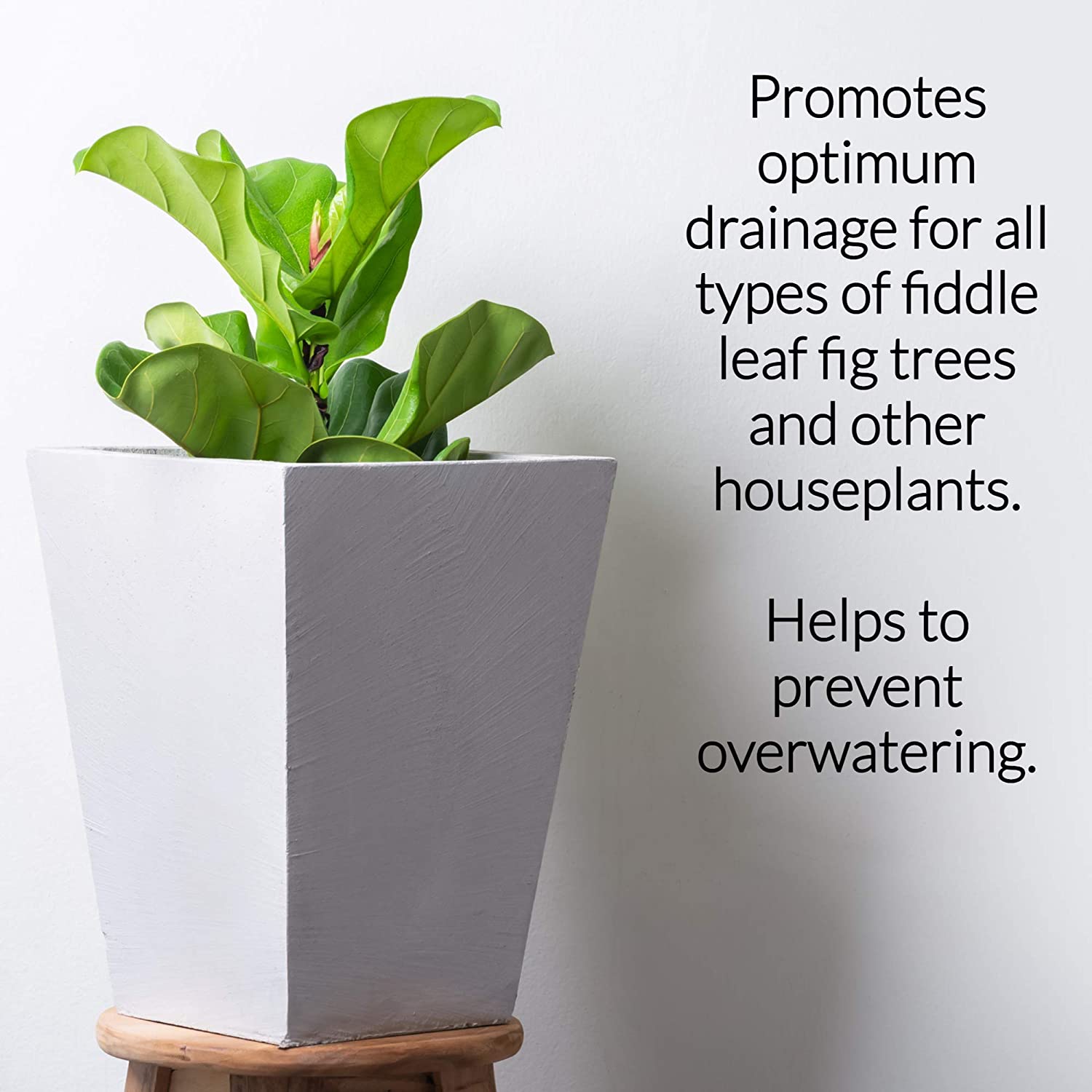 Premium Fiddle Leaf Fig and House Plant Soil All Purpose Blend | Pre-mixed 2.2 and 8.2 Dry Quarts