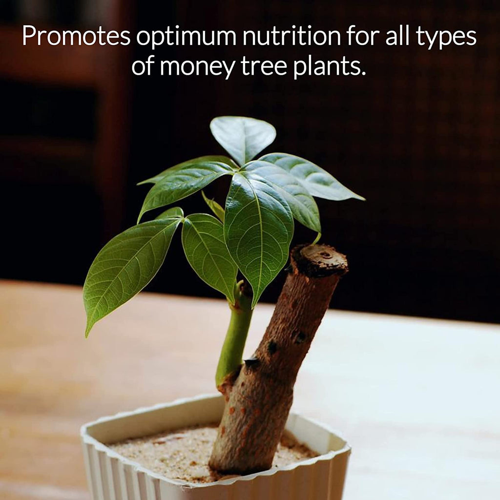 Professional Liquid Money Tree Fertilizer