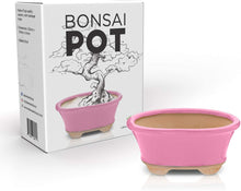 Load image into Gallery viewer, Glazed Ceramic Bonsai Pot | Pink Oval
