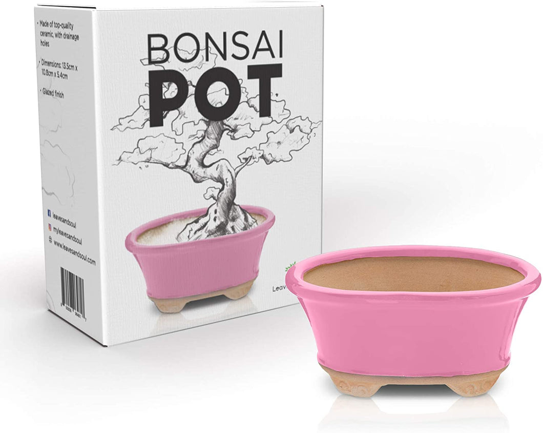 Glazed Ceramic Bonsai Pot | Pink Oval
