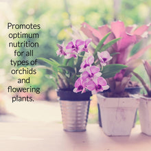Load image into Gallery viewer, Professional Liquid Indoor Orchid Fertilizer
