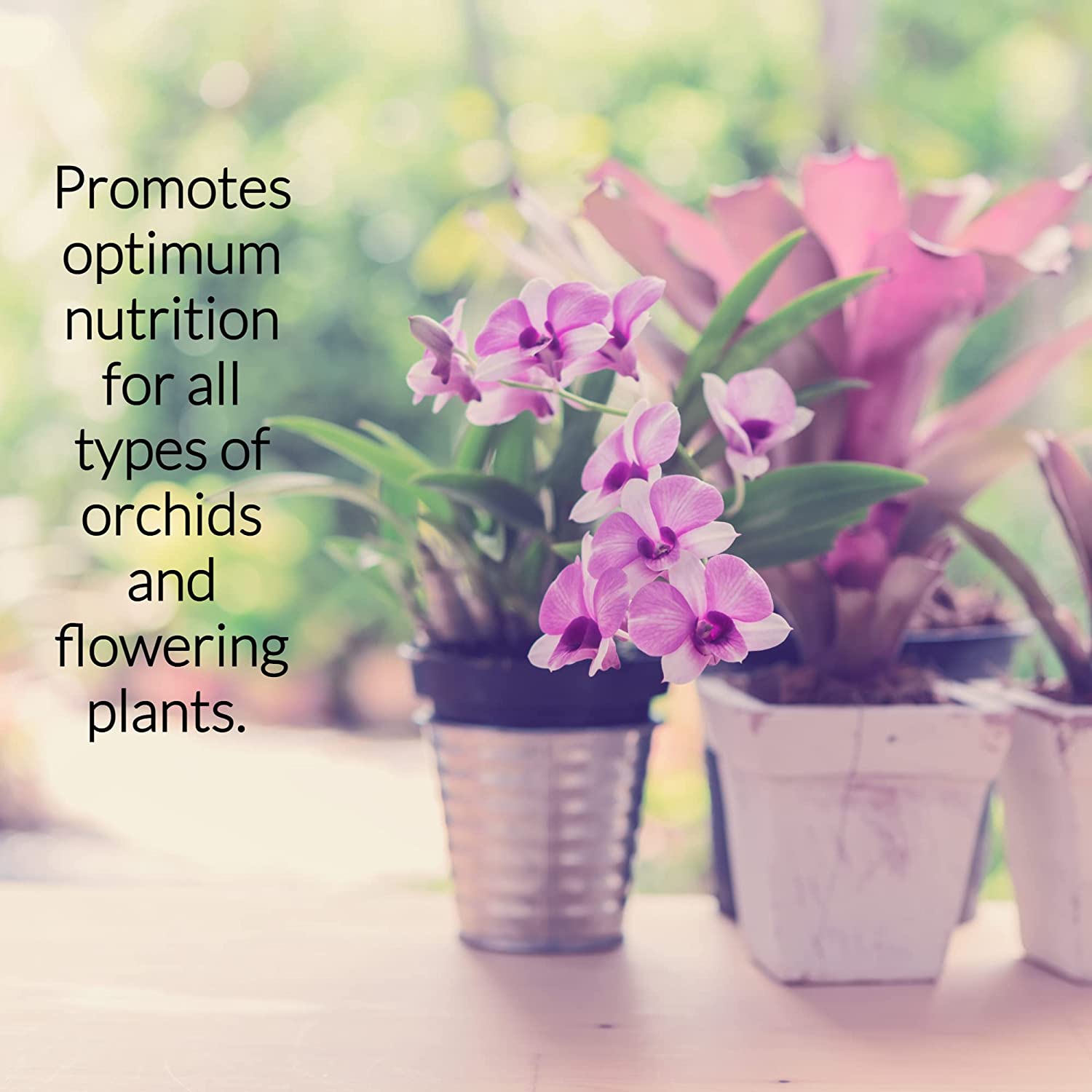 Professional Orchid Fertilizer Spray