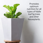 Professional Liquid Fiddle Leaf Fig Plant Fertilizer