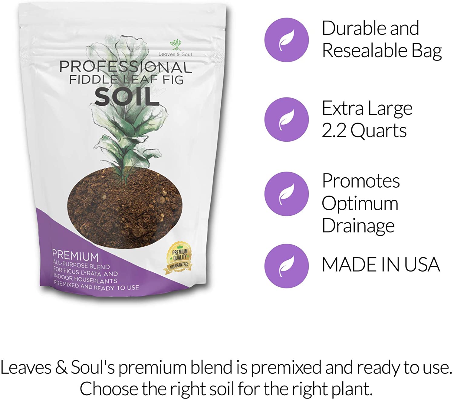 Premium Fiddle Leaf Fig and House Plant Soil All Purpose Blend | Pre-mixed 2.2 and 8.2 Dry Quarts