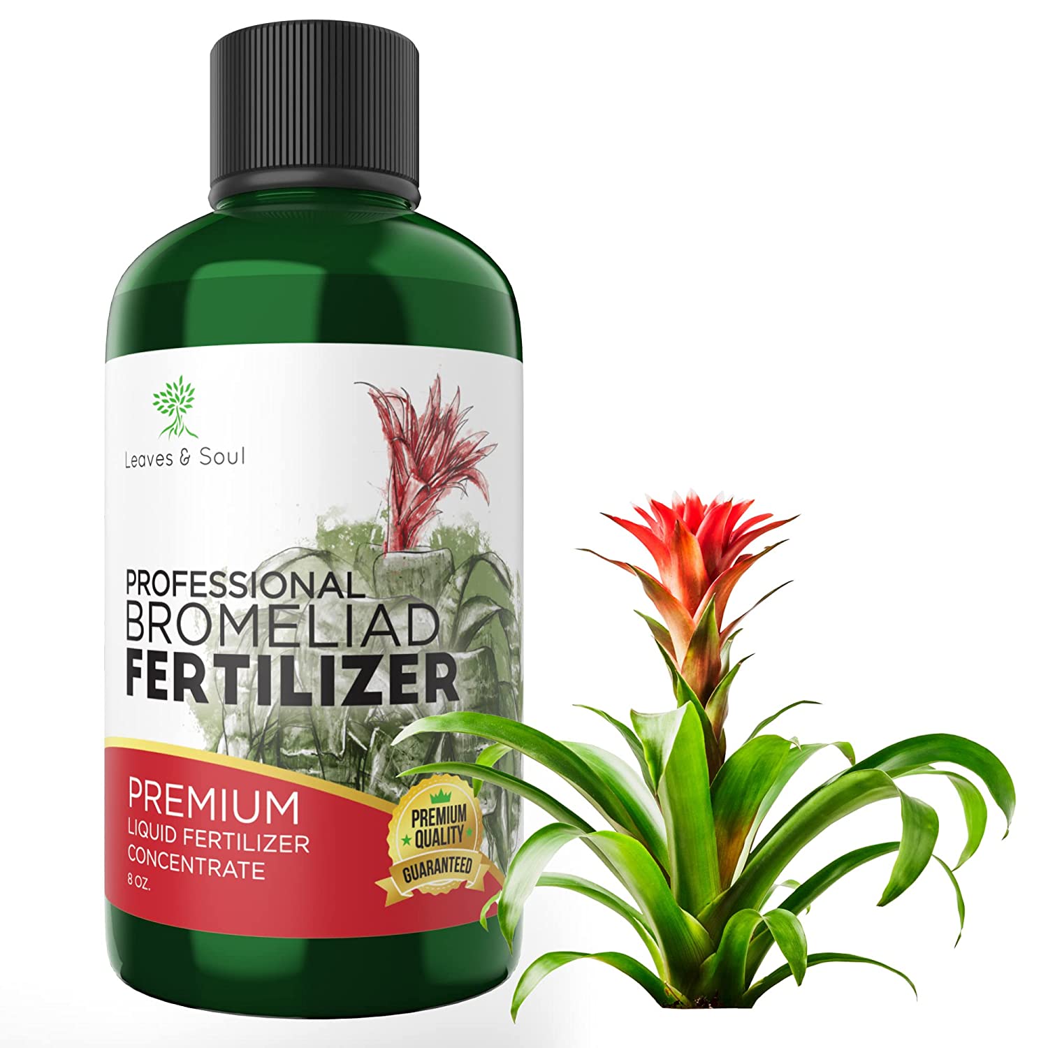 Professional Liquid Bromeliad Plant Fertilizer – Leaves and Soul