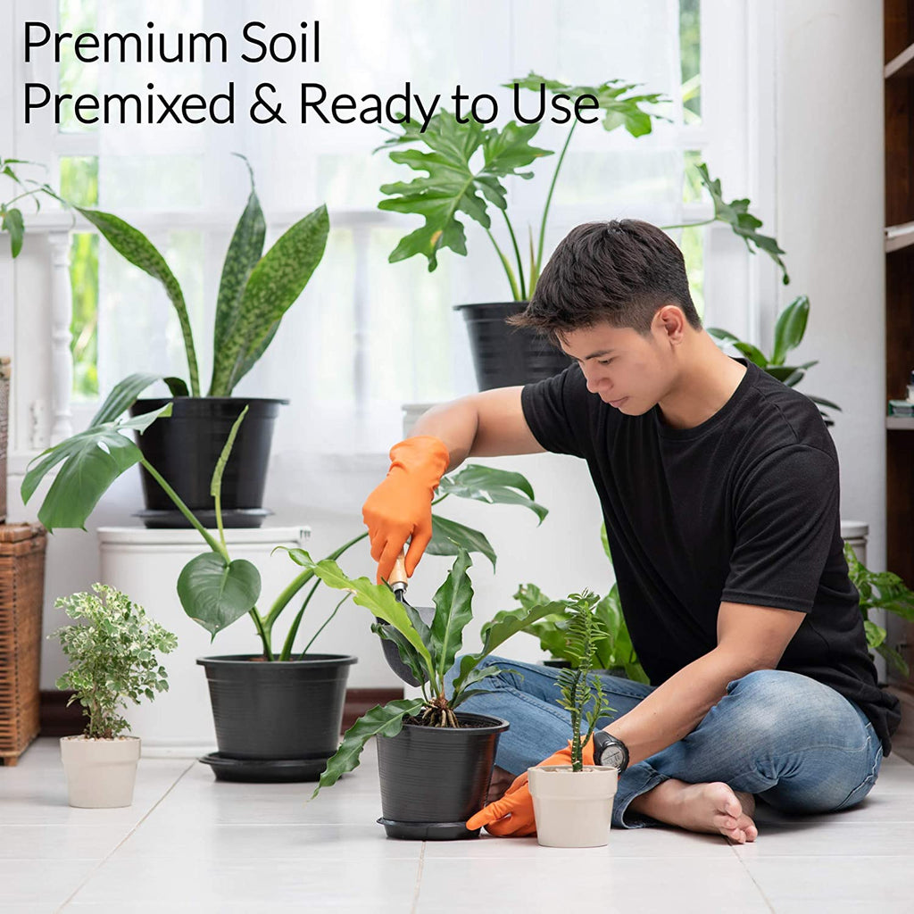 Premium Fiddle Leaf Fig and House Plant Soil All Purpose Blend | Pre-mixed 2.2 and 8.2 Dry Quarts