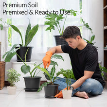 Load image into Gallery viewer, Premium Fiddle Leaf Fig and House Plant Soil All Purpose Blend | Pre-mixed 2.2 and 8.2 Dry Quarts
