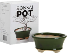 Load image into Gallery viewer, Glazed Ceramic Bonsai Pot | Green Oval
