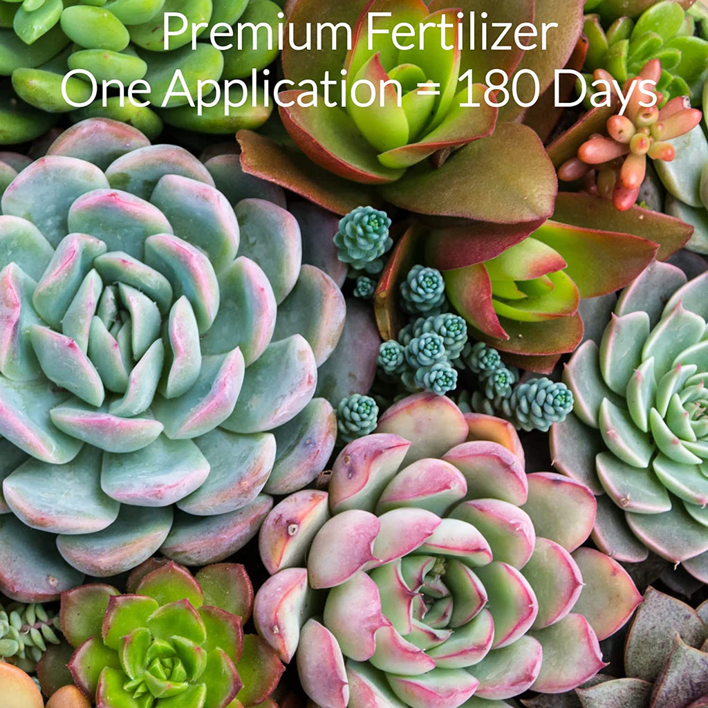 Succulent Fertilizer Pellets | 13-11-11 Slow Release