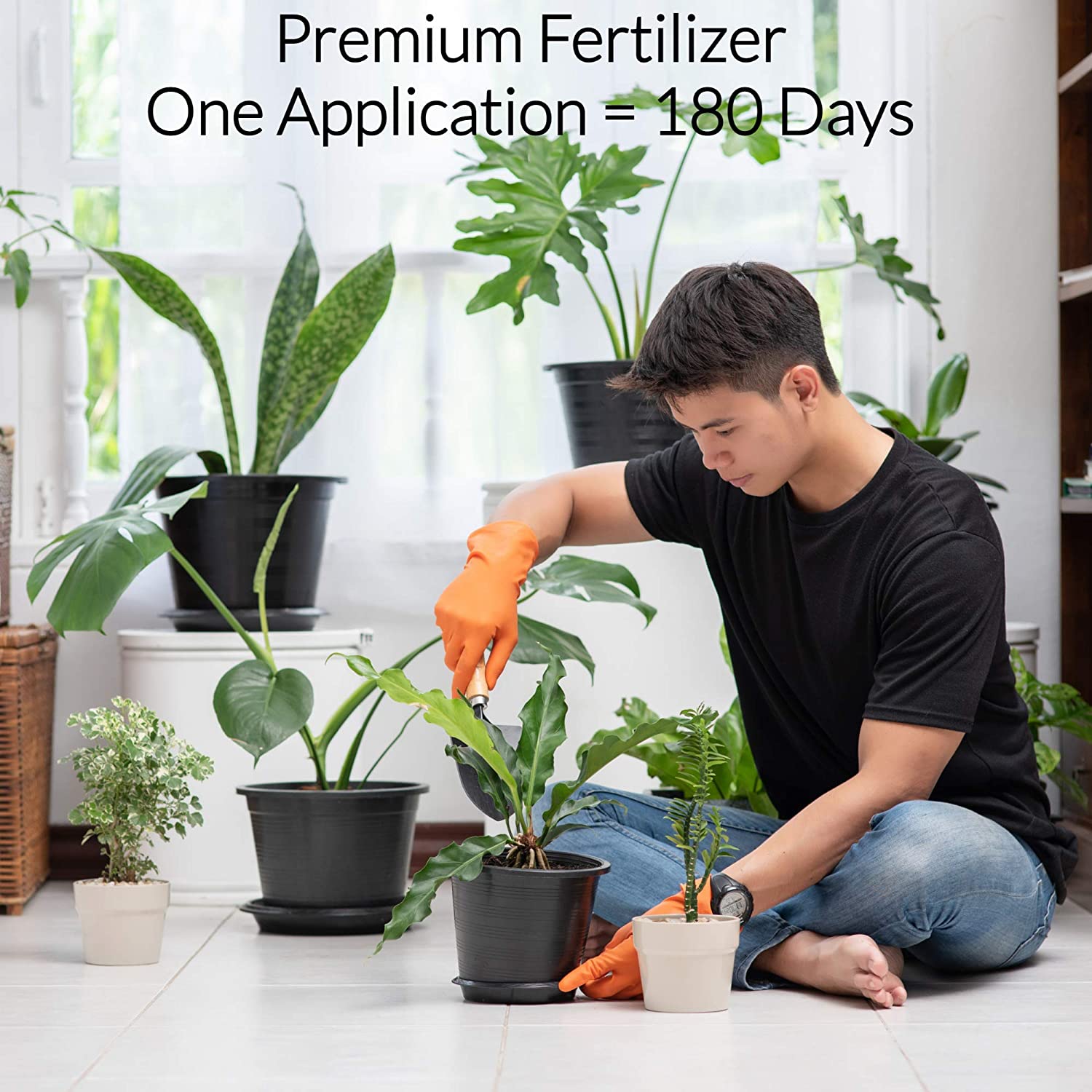 Fiddle Leaf Fig and House Plant Fertilizer Pellets | 16-5-11 Slow Release