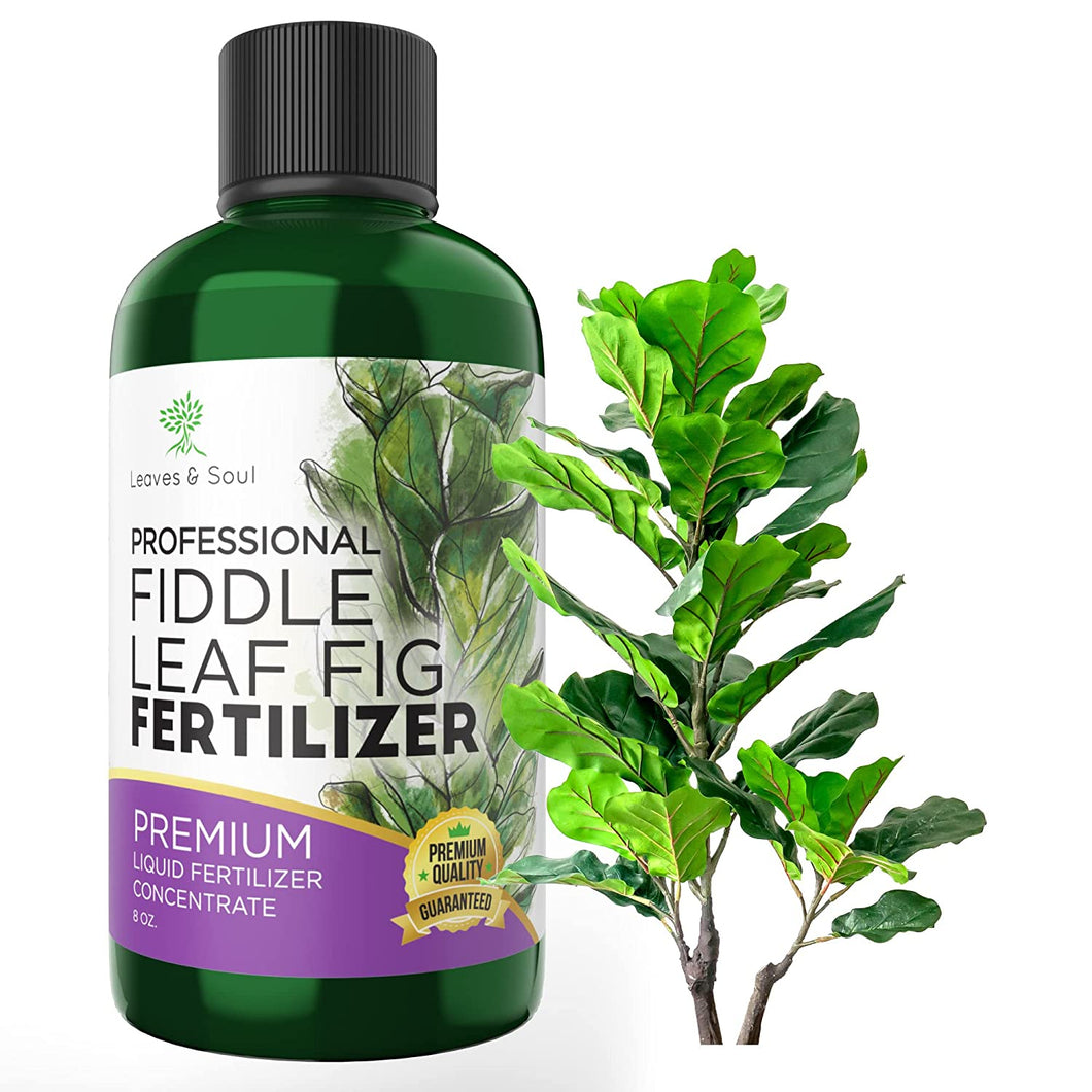 Professional Liquid Fiddle Leaf Fig Plant Fertilizer