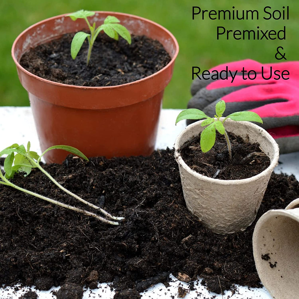 Professional African Violet Plant Soil | Pre-mixed 2.2 Dry Quarts