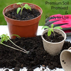 Professional African Violet Plant Soil | Pre-mixed 2.2 Dry Quarts