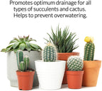 Premium Succulent Soil All Purpose Blend | Pre-mixed 2.2 and 8.2 Dry Quarts