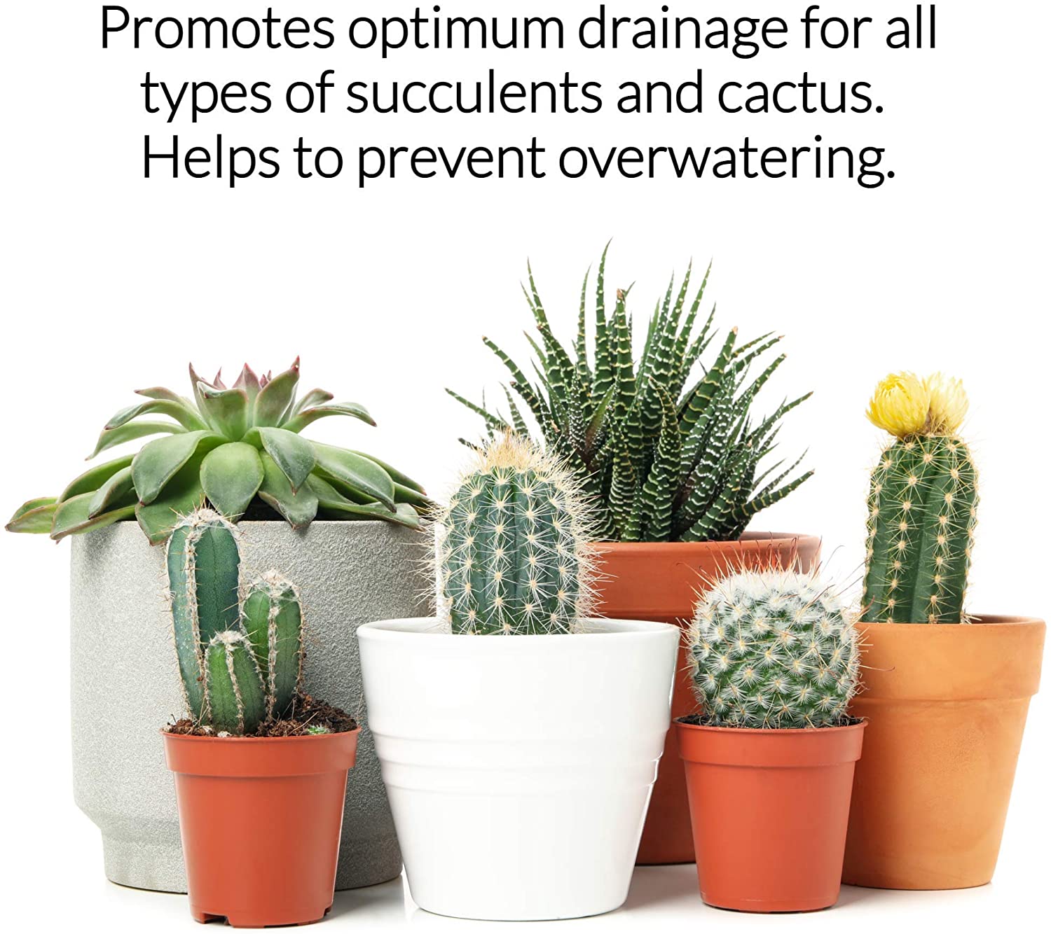 Premium Succulent Soil All Purpose Blend | Pre-mixed 2.2 and 8.2 Dry Quarts