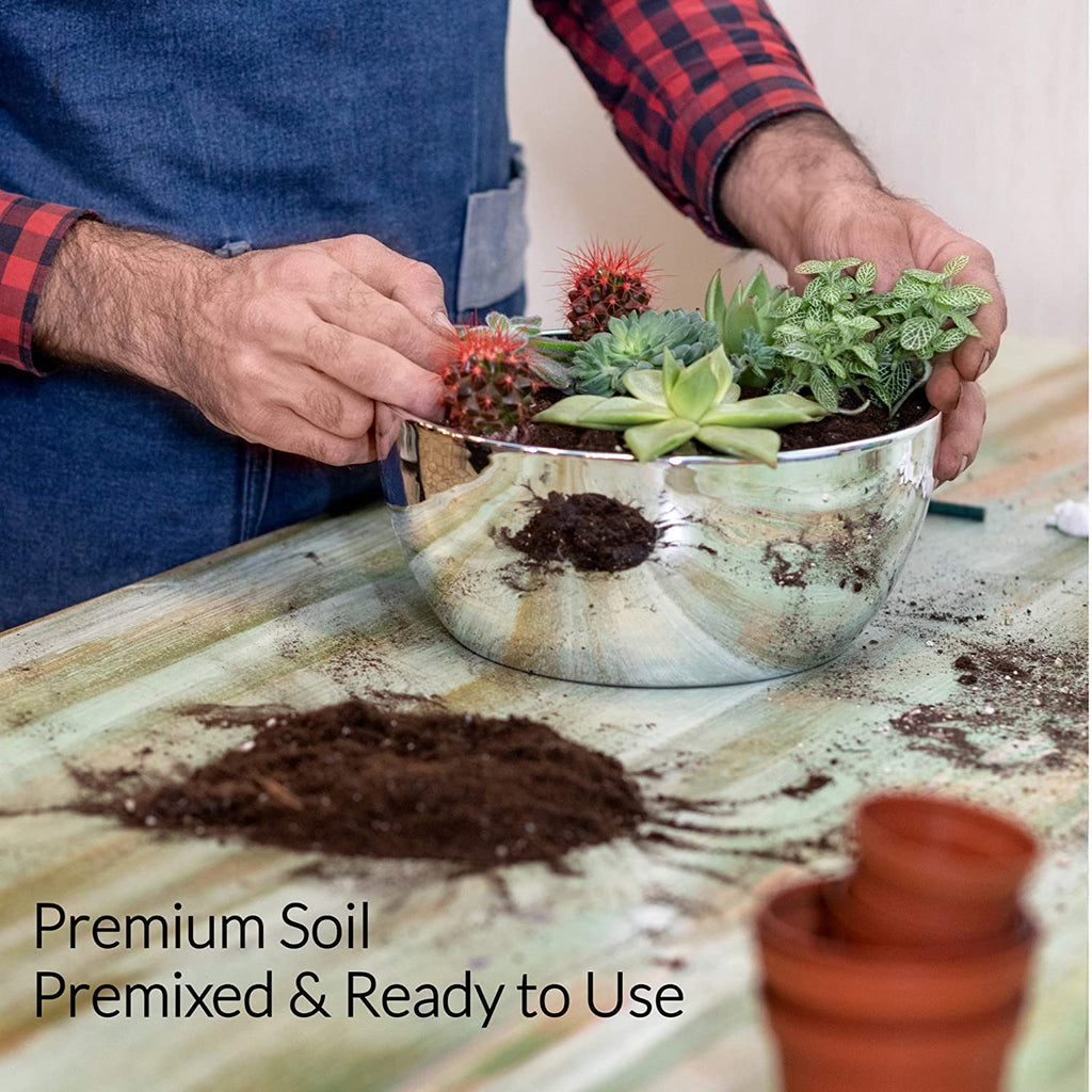 Premium Succulent Soil All Purpose Blend | Pre-mixed 2.2 and 8.2 Dry Quarts