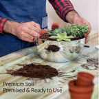 Premium Succulent Soil All Purpose Blend | Pre-mixed 2.2 and 8.2 Dry Quarts