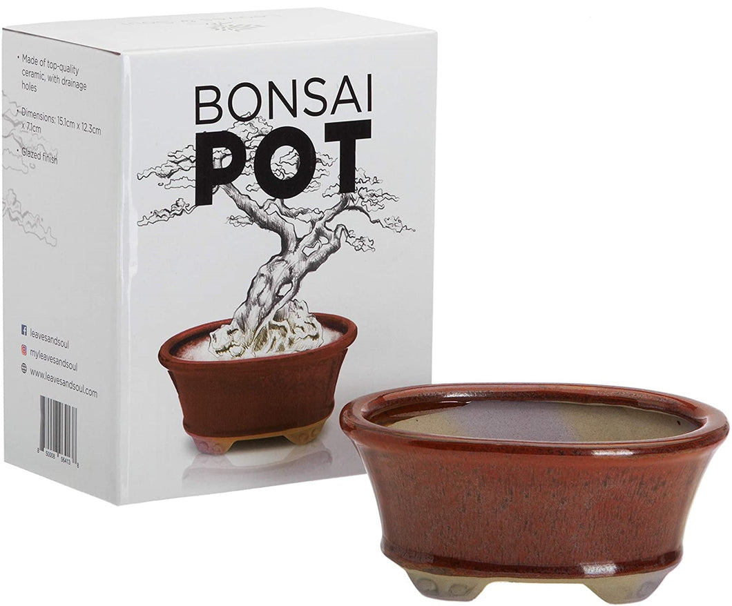 Glazed Ceramic Bonsai Pot | Dark Red