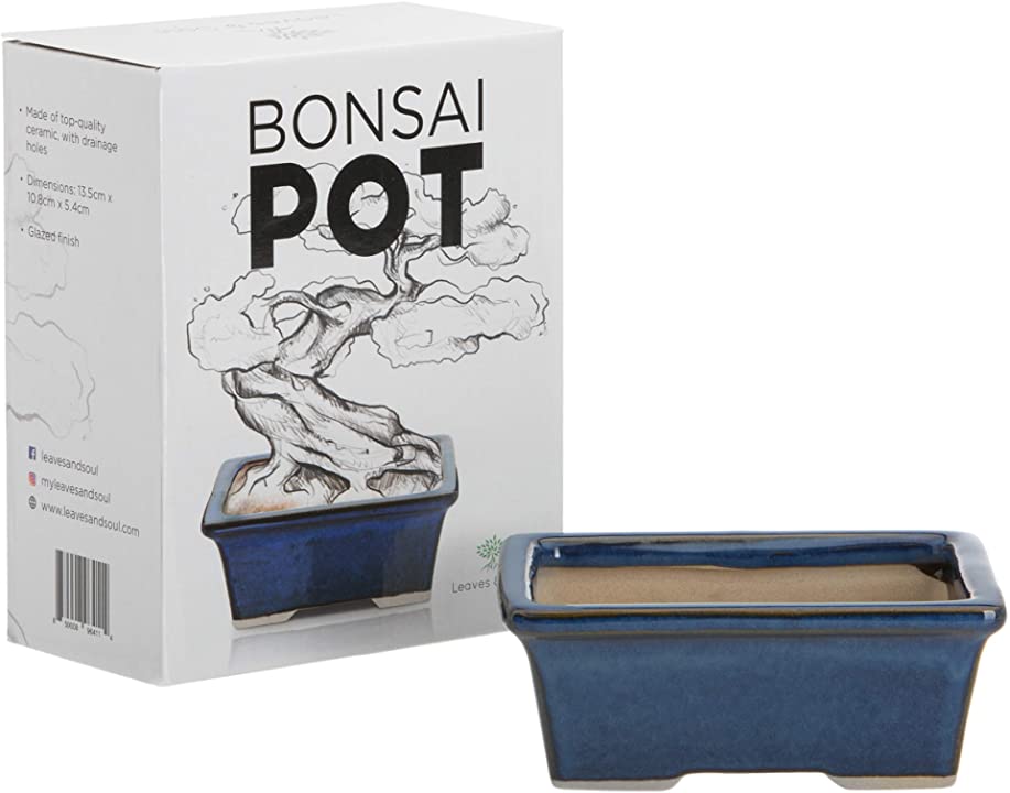 Glazed Ceramic Bonsai Pot | Blue Rectangle