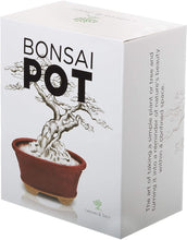 Load image into Gallery viewer, Glazed Ceramic Bonsai Pot | Dark Red
