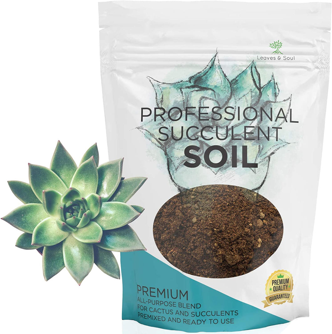 Premium Succulent Soil All Purpose Blend | Pre-mixed 2.2 and 8.2 Dry Quarts