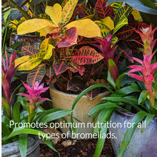 Load image into Gallery viewer, Professional Liquid Bromeliad Plant Fertilizer
