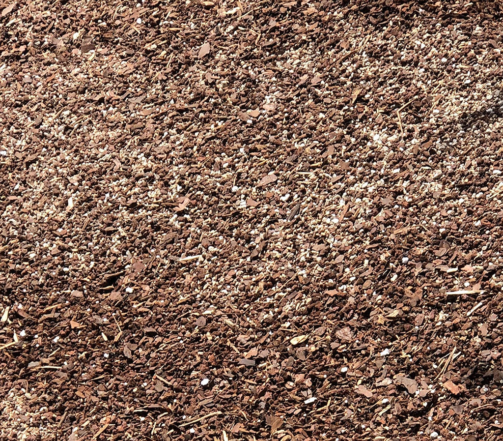 Premium Bonsai Soil All Purpose Blend | Pre-mixed 2.2 and 8.2 Dry Quarts