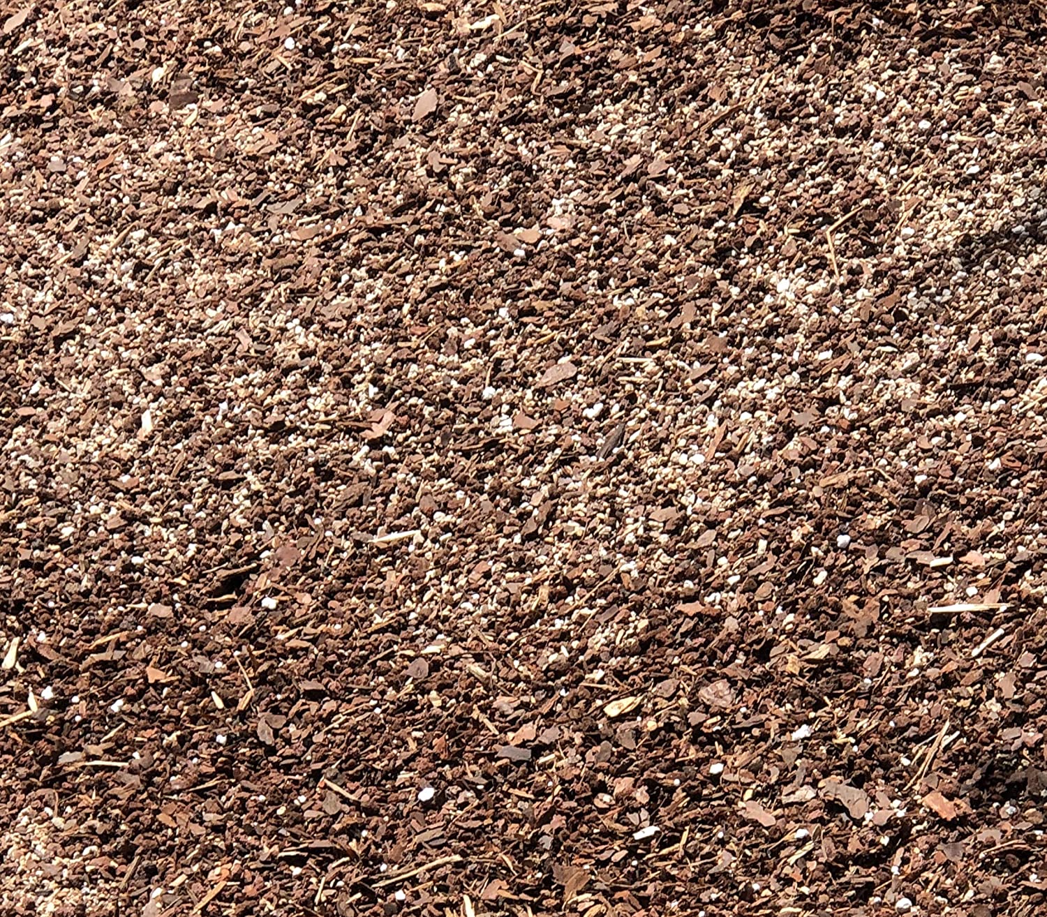 Premium Bonsai Soil All Purpose Blend | Pre-mixed 2.2 and 8.2 Dry Quarts