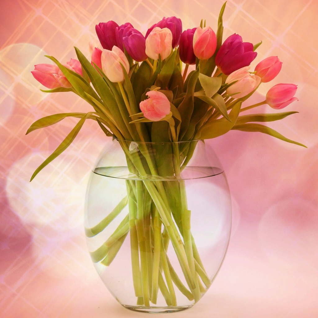 Professional Cut Flower Pump Spray Fertilizer Mist 8oz.