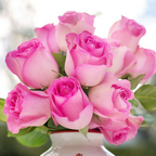 Professional Cut Flower Pump Spray Fertilizer Mist 8oz.